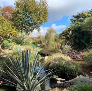 Meet your Posher, Shim